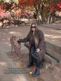 🍂 Autumn in Nara Park🍁🫎