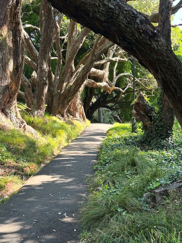A Peaceful Green Escape in the Heart of Auckland