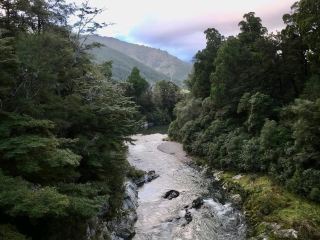 馬爾堡海灣：寧靜水域的迷宮