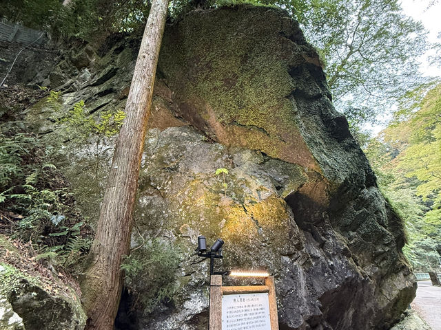 🌸大阪3日間の小旅行🌸