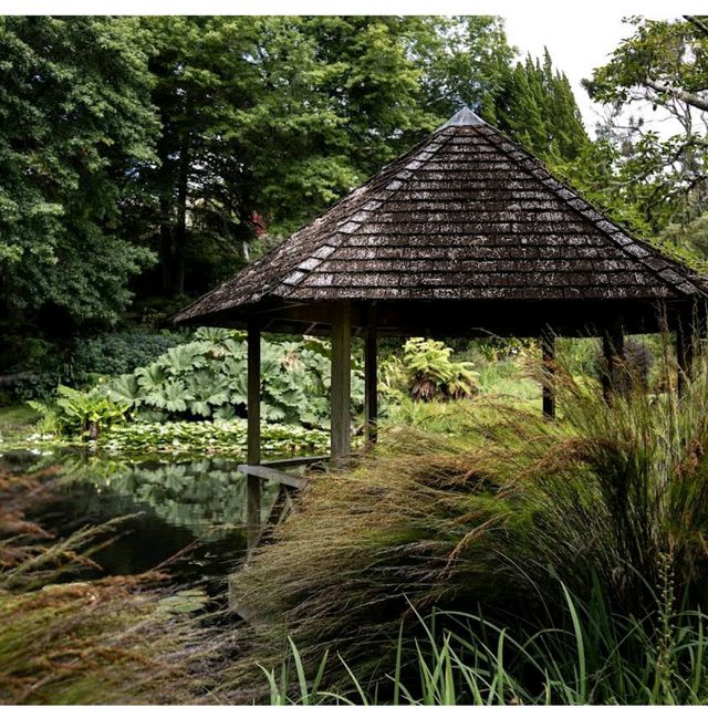 Ayrlies Garden Ayrlies Garden