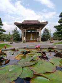 佛國淨土與落羽松秘境交織的南投中台禪寺