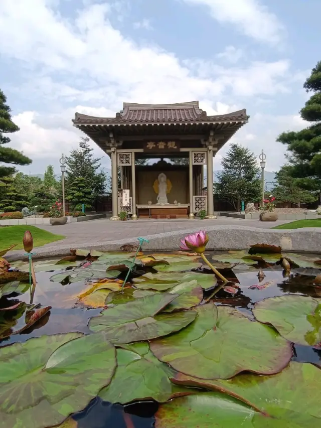 佛國淨土與落羽松秘境交織的南投中台禪寺