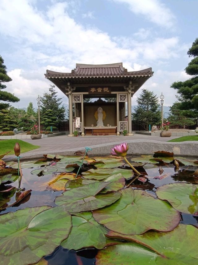 佛國淨土與落羽松秘境交織的南投中台禪寺