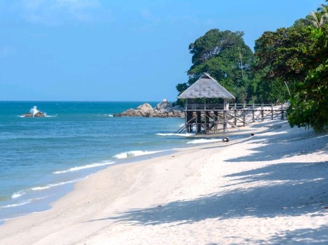 Trikora Beach Vibes🌴Trikora Beach 🏖️