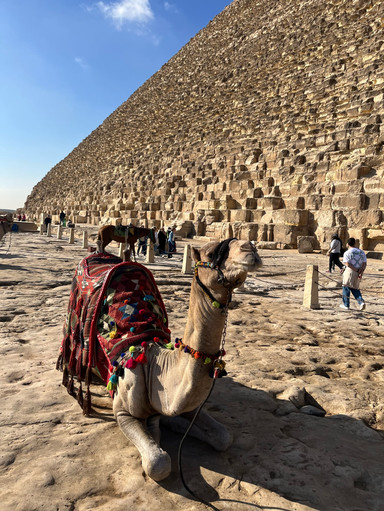 ⛰️絶対に見たい世界遺産ギザの三大ピラミッド｜Pyramids of Giza
