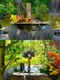 京都小眾賞楓秘境|正法寺禪意紅葉之旅🍁