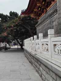 🙏 A Glimpse Into Local Buddhist Life — Huguo Pusa Temple (护国般若寺)
