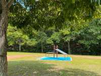 Wetlands Adventures for All Ages