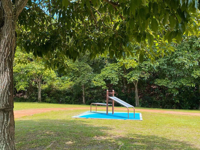 Wetlands Adventures for All Ages Wetlands Adventures for All Ages