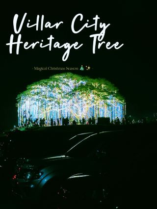Villar Heritage Tree “Once Upon a Tree Magical Christmas Nights!” 🎄✨
