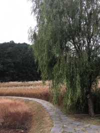 清州(チョンジュ)〜利川(イチョン)観光🇰🇷