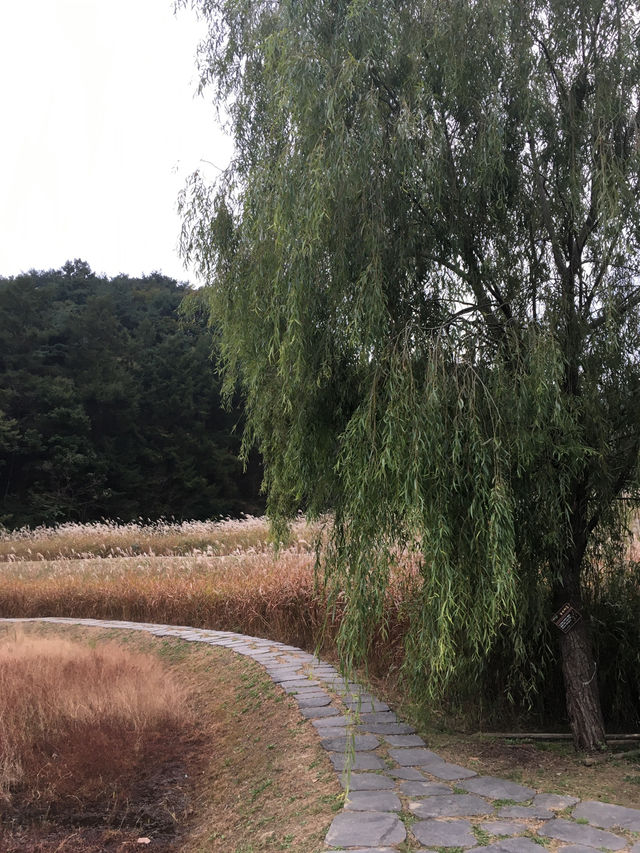 清州(チョンジュ)〜利川(イチョン)観光🇰🇷 清州(チョンジュ)〜利川(イチョン)観光🇰🇷