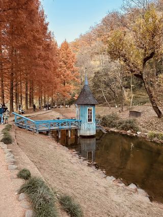 🇯🇵 《走進森林深處，飯能替大人偷藏的一座童話世界》