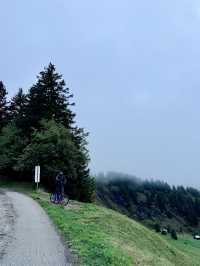 Swiss Alpine Escape🚲