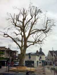 France in Autumn: Eiffel Magic, Dreamy Streets & Dessert Goals 🇫🇷✨
