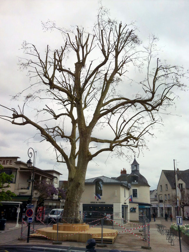 France in Autumn: Eiffel Magic, Dreamy Streets & Dessert Goals 🇫🇷✨