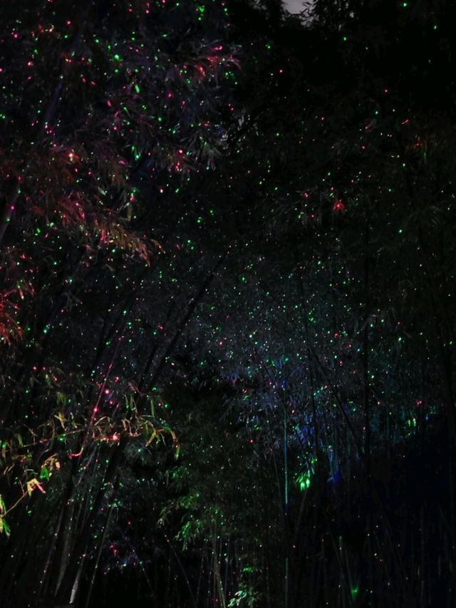 Night Magic at Ulsan’s Taehwagang National Garden 🌈✨