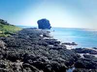 Coastal Holiday Stop Before Christmas Gift Hunting