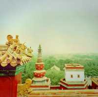 Temple Trail Magic ✨