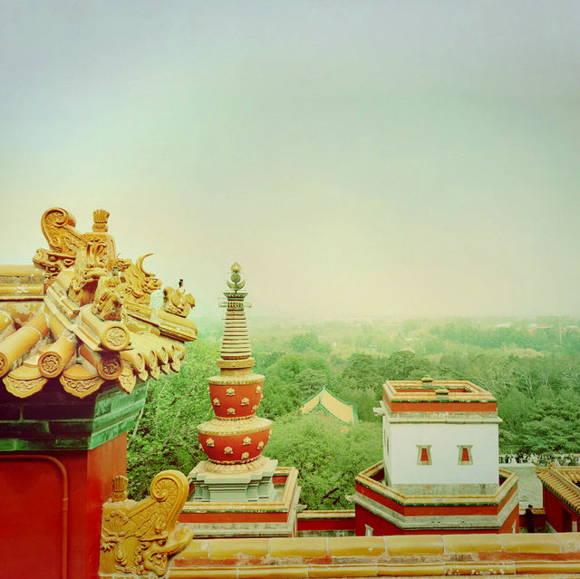 Temple Trail Magic ✨ Temple Trail Magic ✨