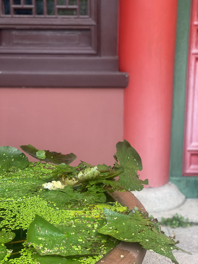 🍵 毗盧寺：城市中的隱藏版療癒所！萌翻天的沙彌石像與靜心素齋！