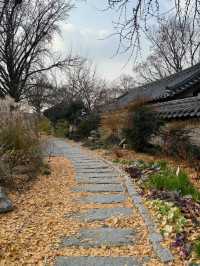 Courtyard Dreams🌞