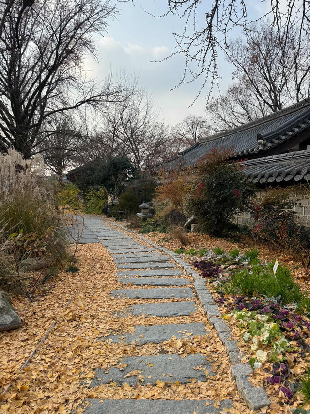 Courtyard Dreams🌞 Courtyard Dreams🌞