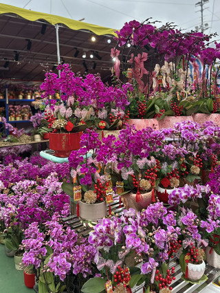 🧧💐Immerse in all this beauty at the Chinese New Year Fair🌸🧧