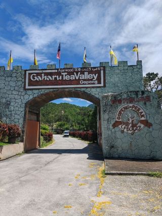 หุบเขาชากาฮารุ โกเปง