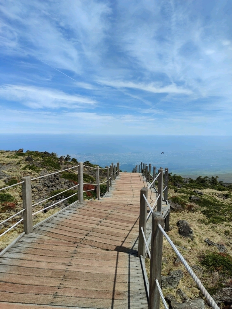 済州島・漢拏山（ハルラサン）登山のすべて！ | Trip.com 済州市