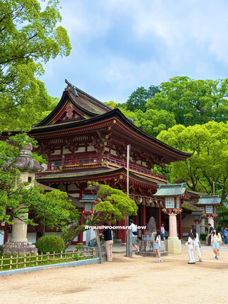 Checking in at "Dazaifu Tenmangu Shrine".