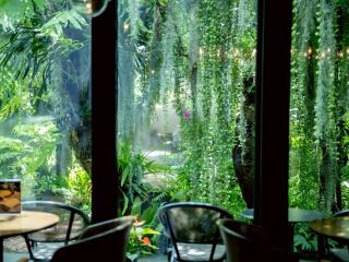 Hidden cafe in Muang Thong Thani