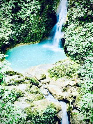 日本 中国地方 帝釈峡 苔むした石灰岩の森の散策。