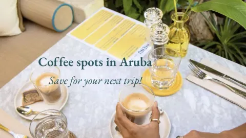 Fuel Your Island Adventure: 9 Aruba Coffee Spots to Check Out — traveler post in Florida