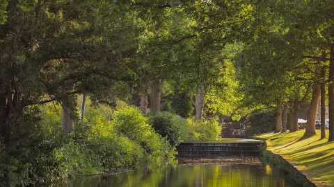 🏰 Grantley Hall, Yorkshire — English Elegance & Luxury 🇬🇧 — traveler post in Ripon