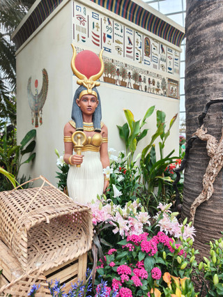 Discover the Forgotten Colors of Ancient Egypt at Lilytopia 2026!