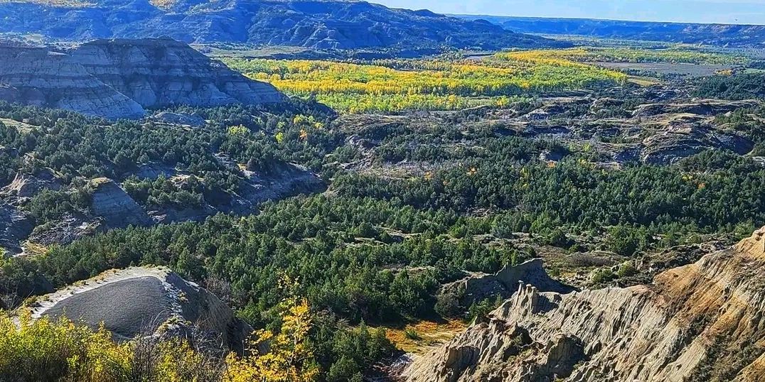 🍁🌄 Golden Horizons: Fall Magic at Theodore Roosevelt National
