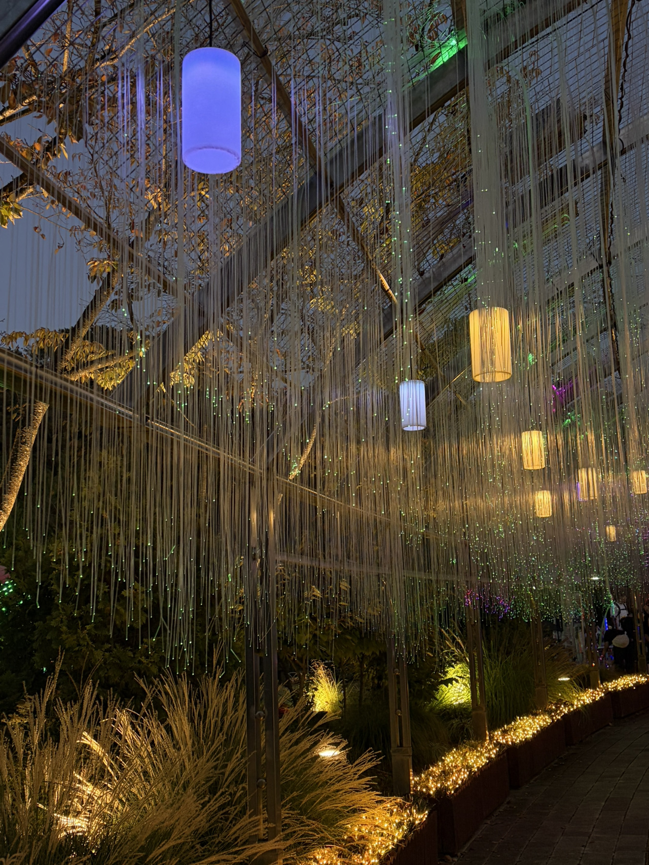 Hidden Zoo Restaurants in Daejeon