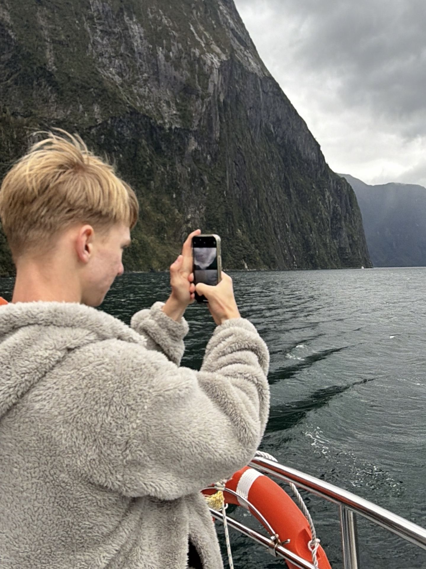 Unforgettable Experience with Southern Discoveries Milford Sound Cruises