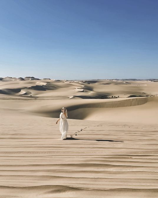 [Egypt] A thrilling adventure! A spectacular drive through the vast Siwa Desert dunes in a 4WD vehicle ✨🇪🇬
