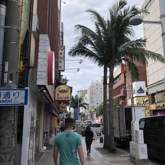 Okinawa Attraction: Naha/Surrounding Area 