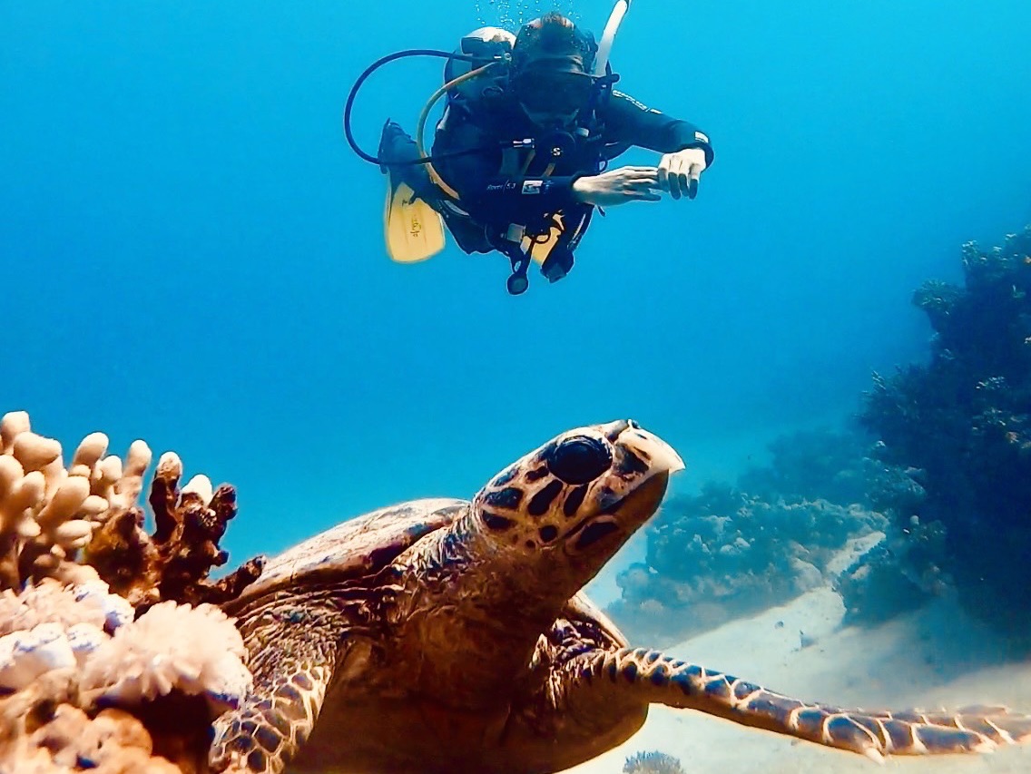 [Backpacker Wreck] Lặn ở Dahab
