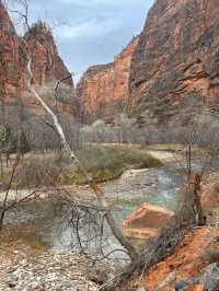 Zion, Landscapes you have to see to believe! 