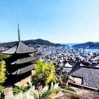 Onomichi's Tranquility