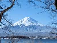  🏔️富士山：雪中絕美倒影的冬日靜謐