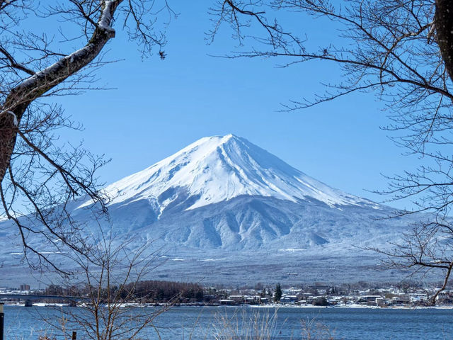  🏔️富士山：雪中絕美倒影的冬日靜謐