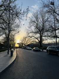 Evening Stroll Around the Palace Museum