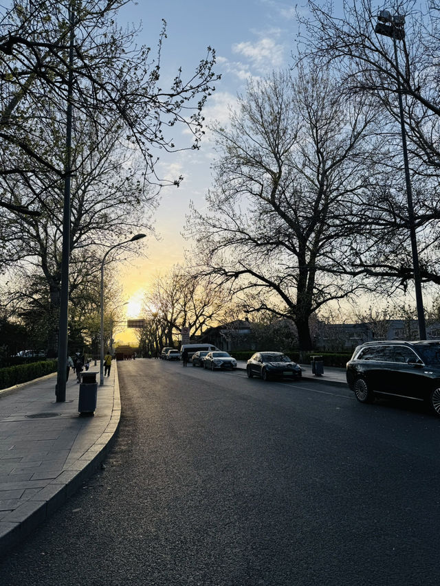 Evening Stroll Around the Palace Museum