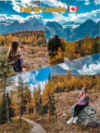 Haunted trails, golden tales ✨👻 Larch season in Canada🍁🇨🇦